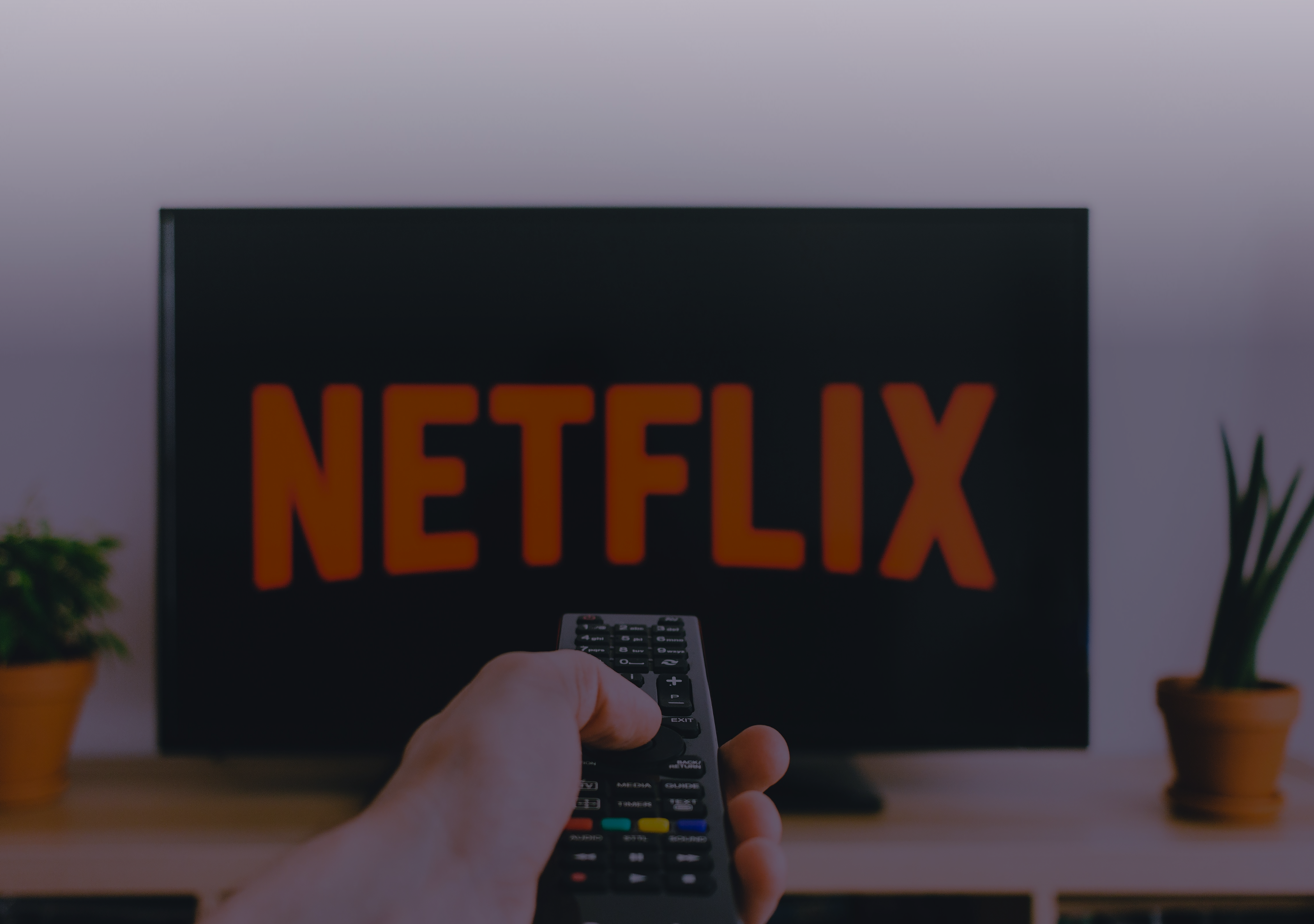 Estrenos Netflix febrero 2026