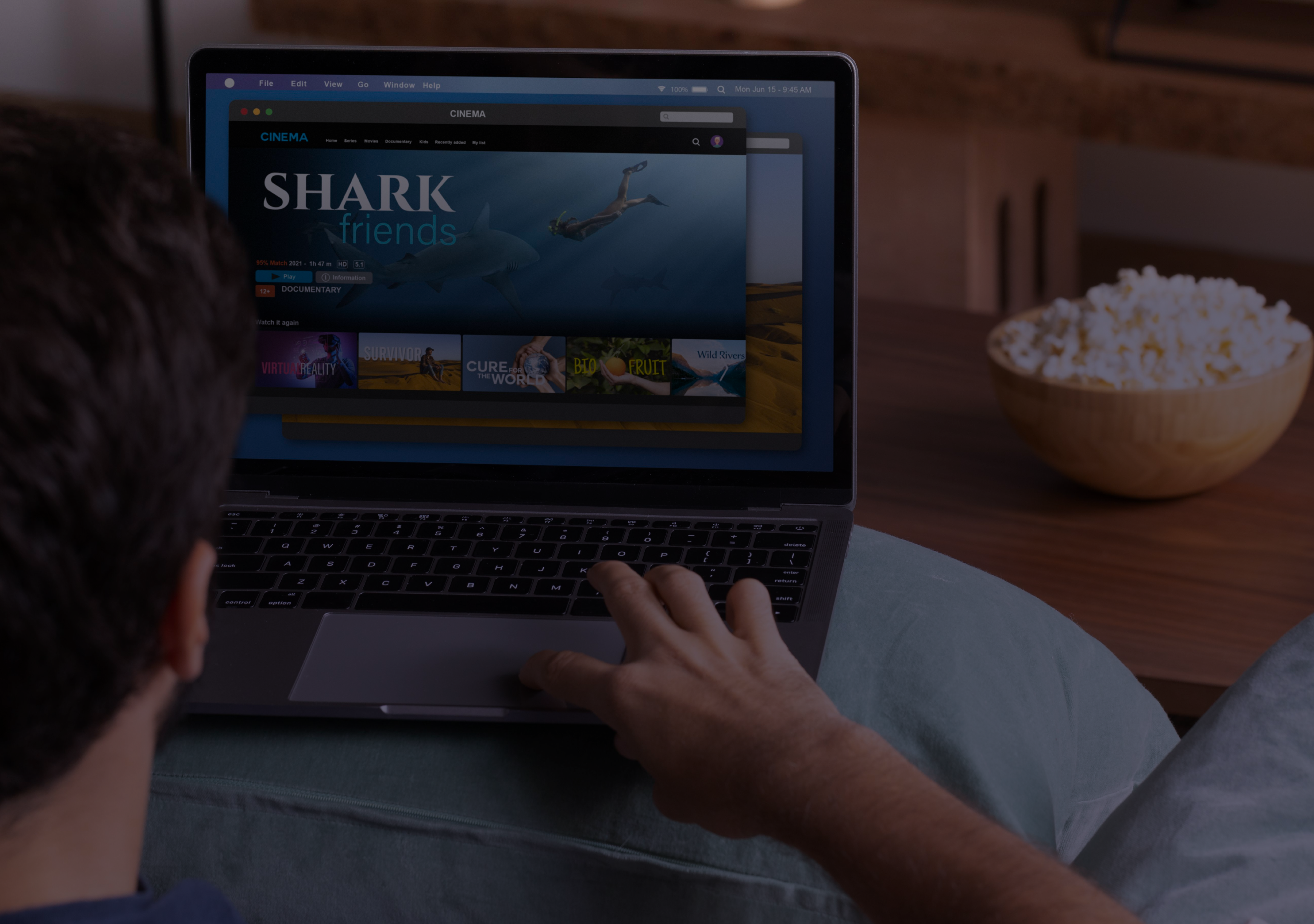 MyFlixer: qué es, cómo funciona y si es legal usarlo